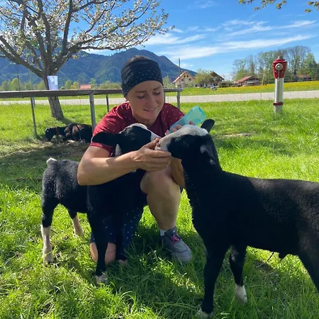 Schusterhof * マルクヴァルトシュタイン