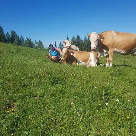 Schusterhof Farm stay