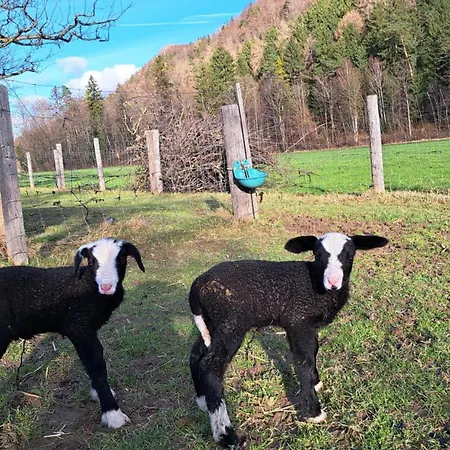 Vakantieboerderij Schusterhof Marquartstein