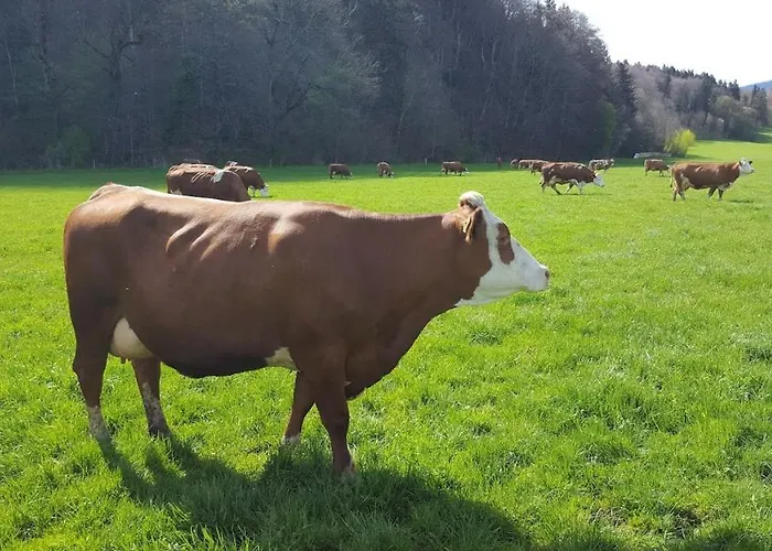 Schusterhof * Marquartstein