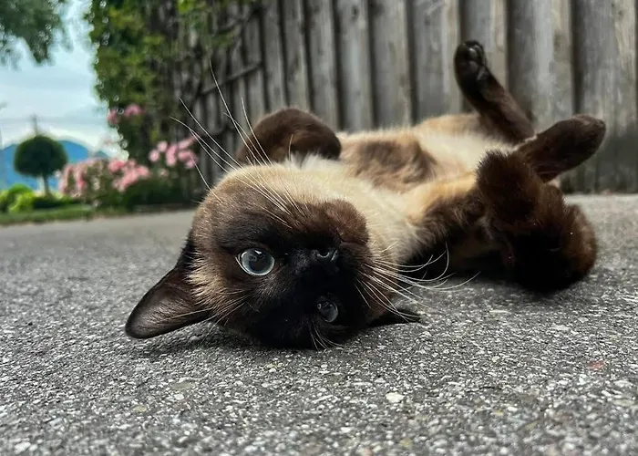 Schusterhof * Marquartstein