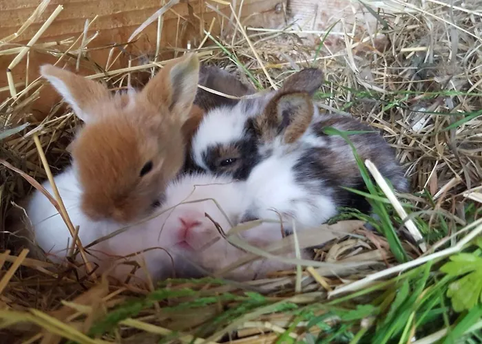 Schusterhof * Marquartstein