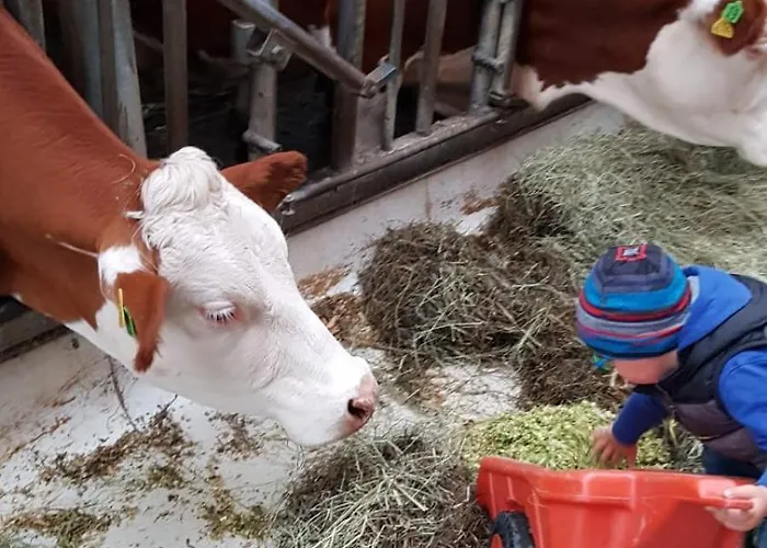 Schusterhof Κατάλυμα σε φάρμα *