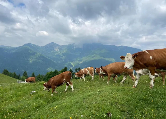 Schusterhof * Marquartstein