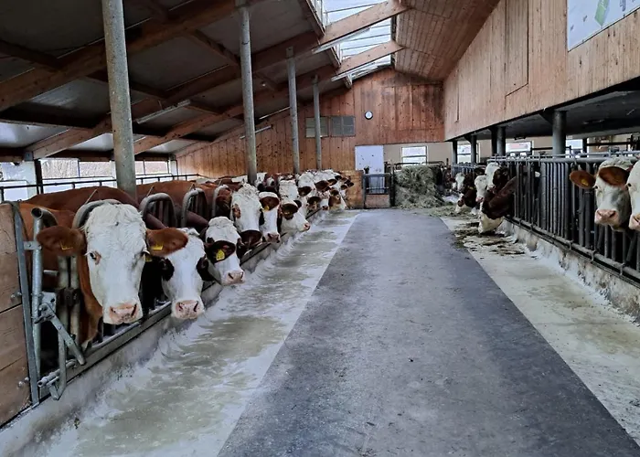 Κατάλυμα σε φάρμα Schusterhof